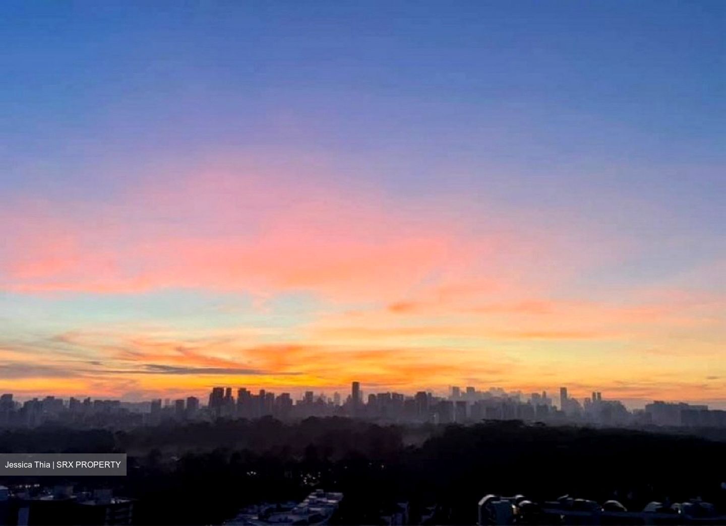 D'Leedon (D10), Condominium #449214071